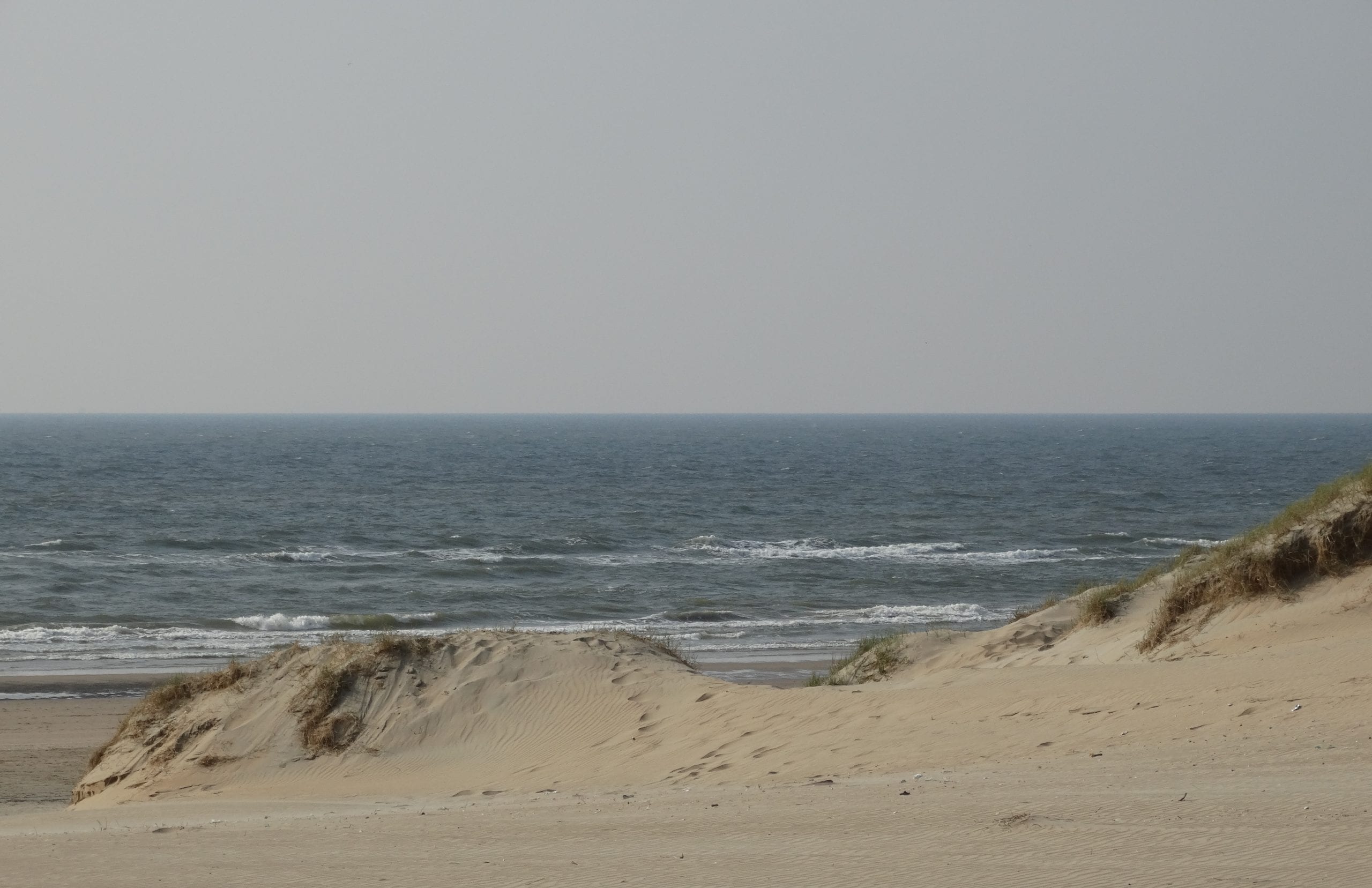 DSC07505